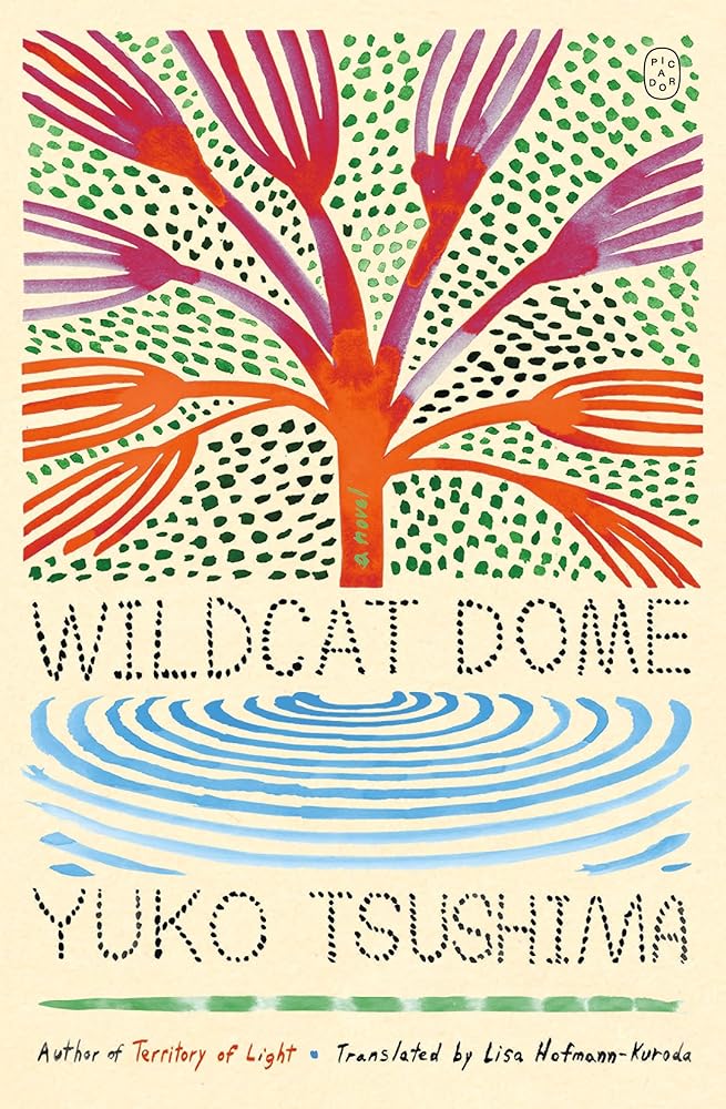 Wildcat Dome: A Novel cover image