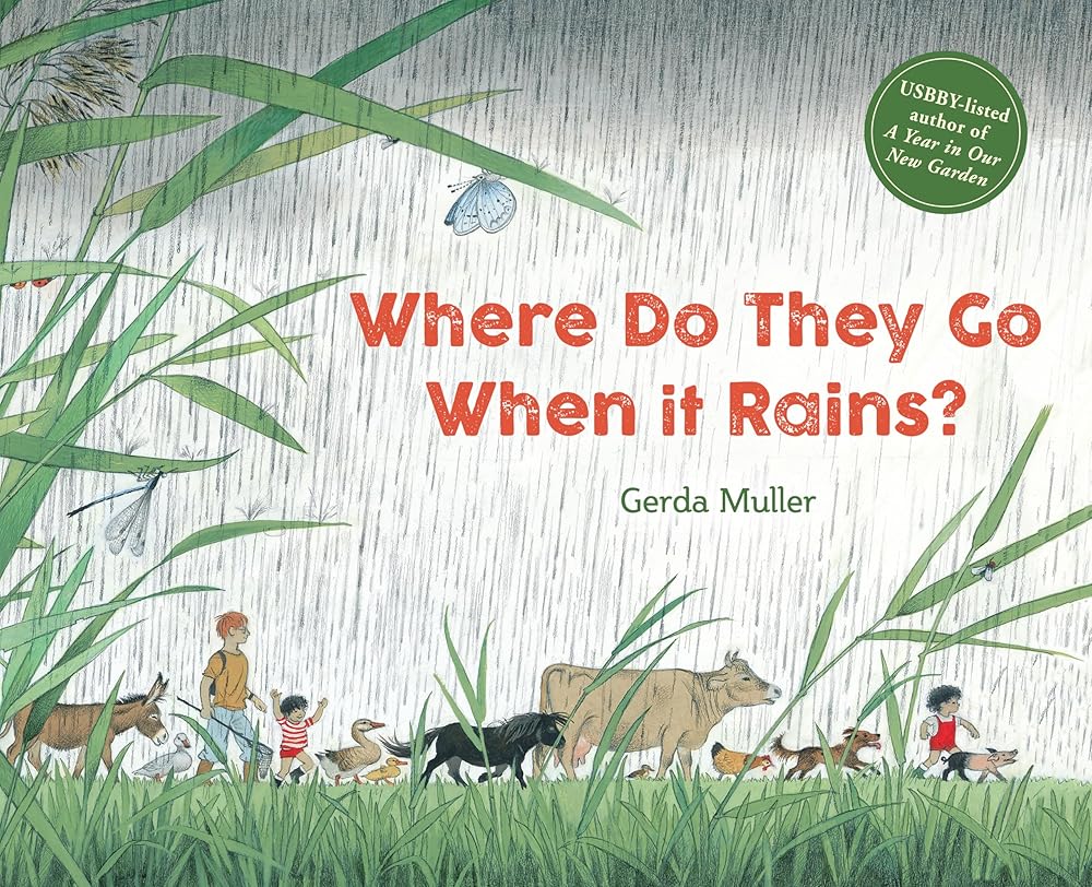 Where Do They Go When It Rains? cover image