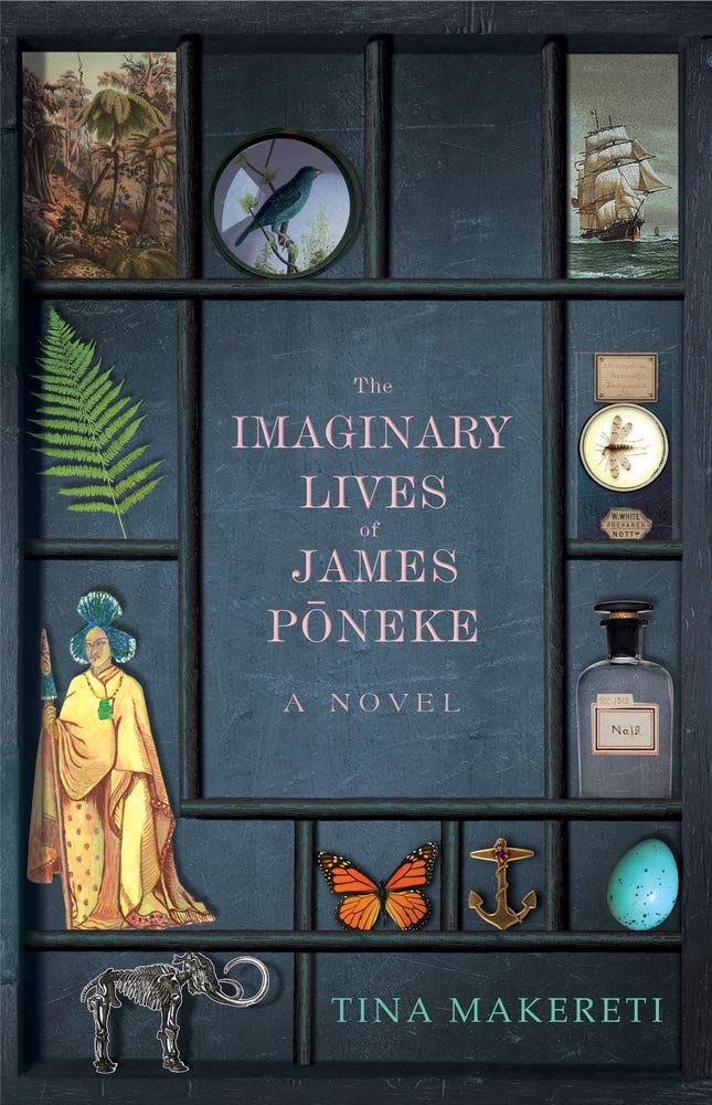 The Imaginary Lives of James Poneke cover image