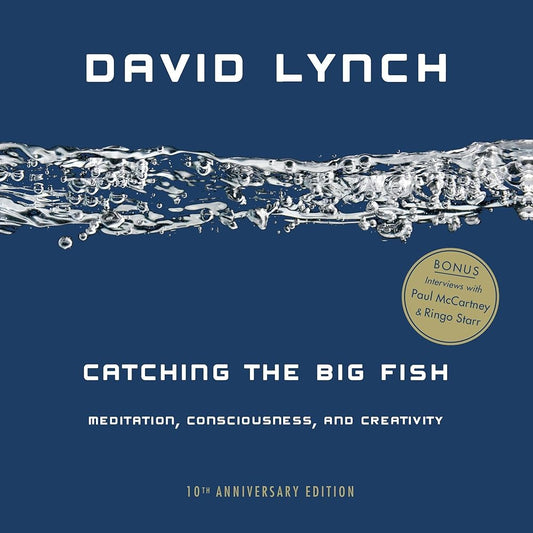 Catching the Big Fish: Meditation, Consciousness, and Creativity: 10th Anniversary Edition cover image