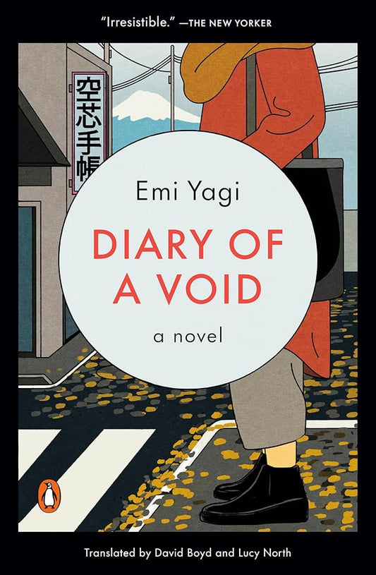 Diary of a Void: A Novel cover image
