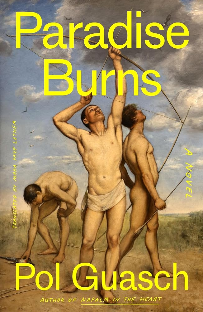 Paradise Burns: A Novel cover image