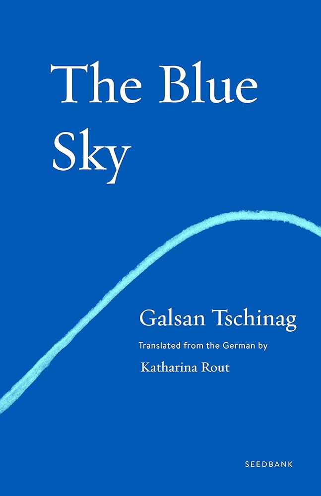 The Blue Sky: A Novel (Seedbank) cover image