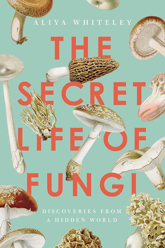 The Secret Life of Fungi: Discoveries From a Hidden World cover image