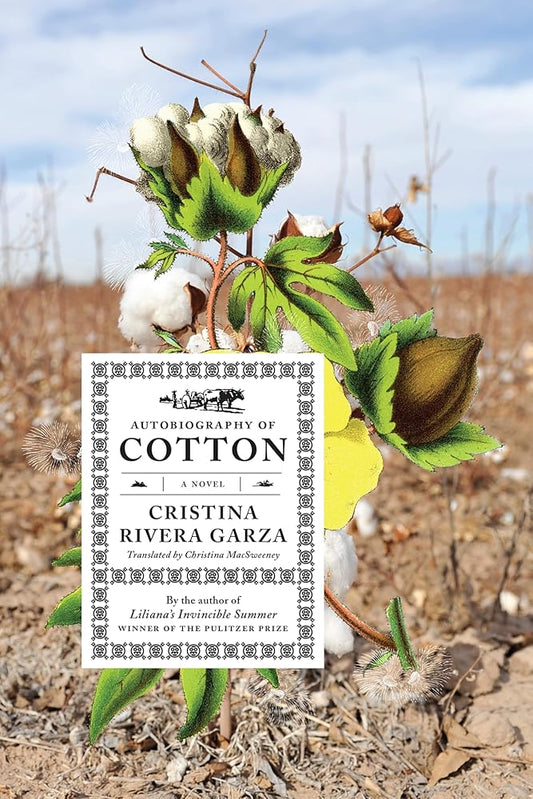 Autobiography of Cotton: A Novel cover image