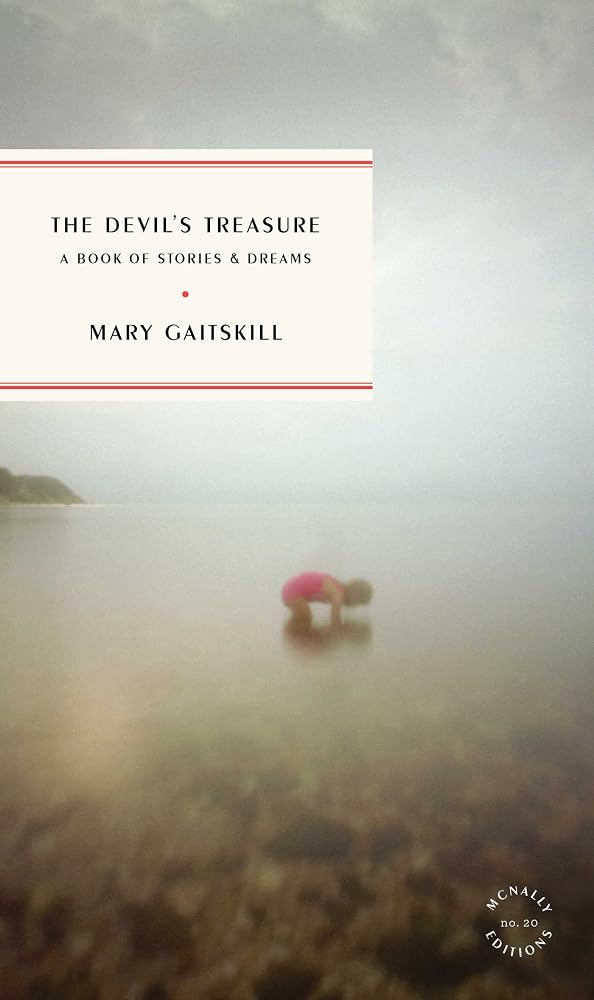 The Devil's Treasure: A Book of Stories and Dreams (McNally Editions) cover image