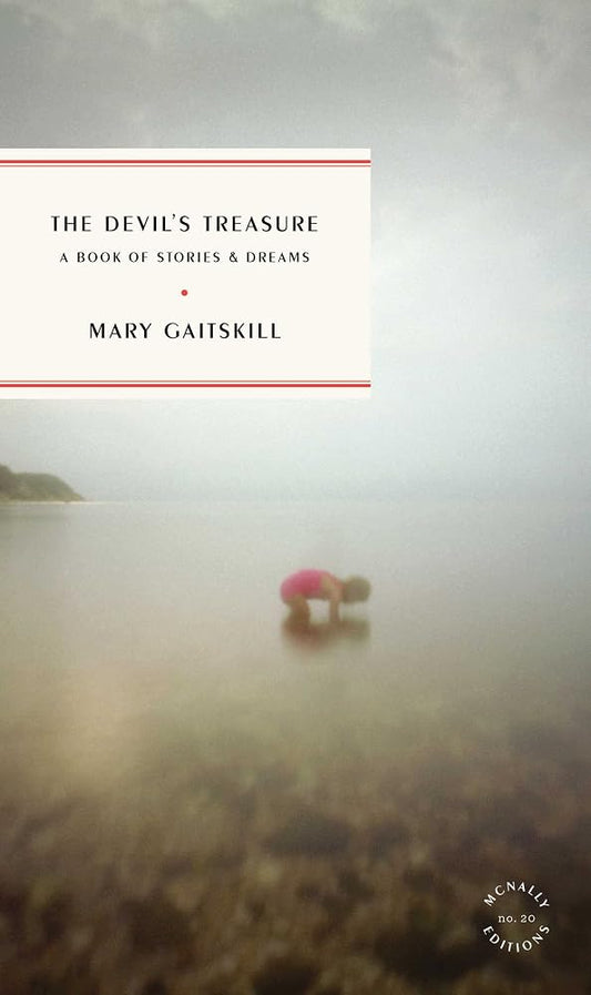 The Devil's Treasure: A Book of Stories and Dreams (McNally Editions) cover image