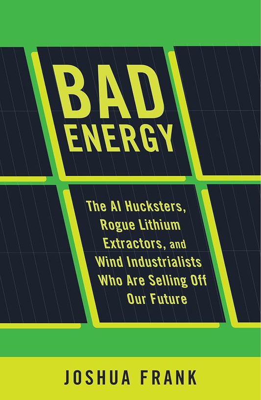Bad Energy: The AI Hucksters, Rogue Lithium Extractors, and Wind Industrialists Who Are Selling Off Our Future cover image