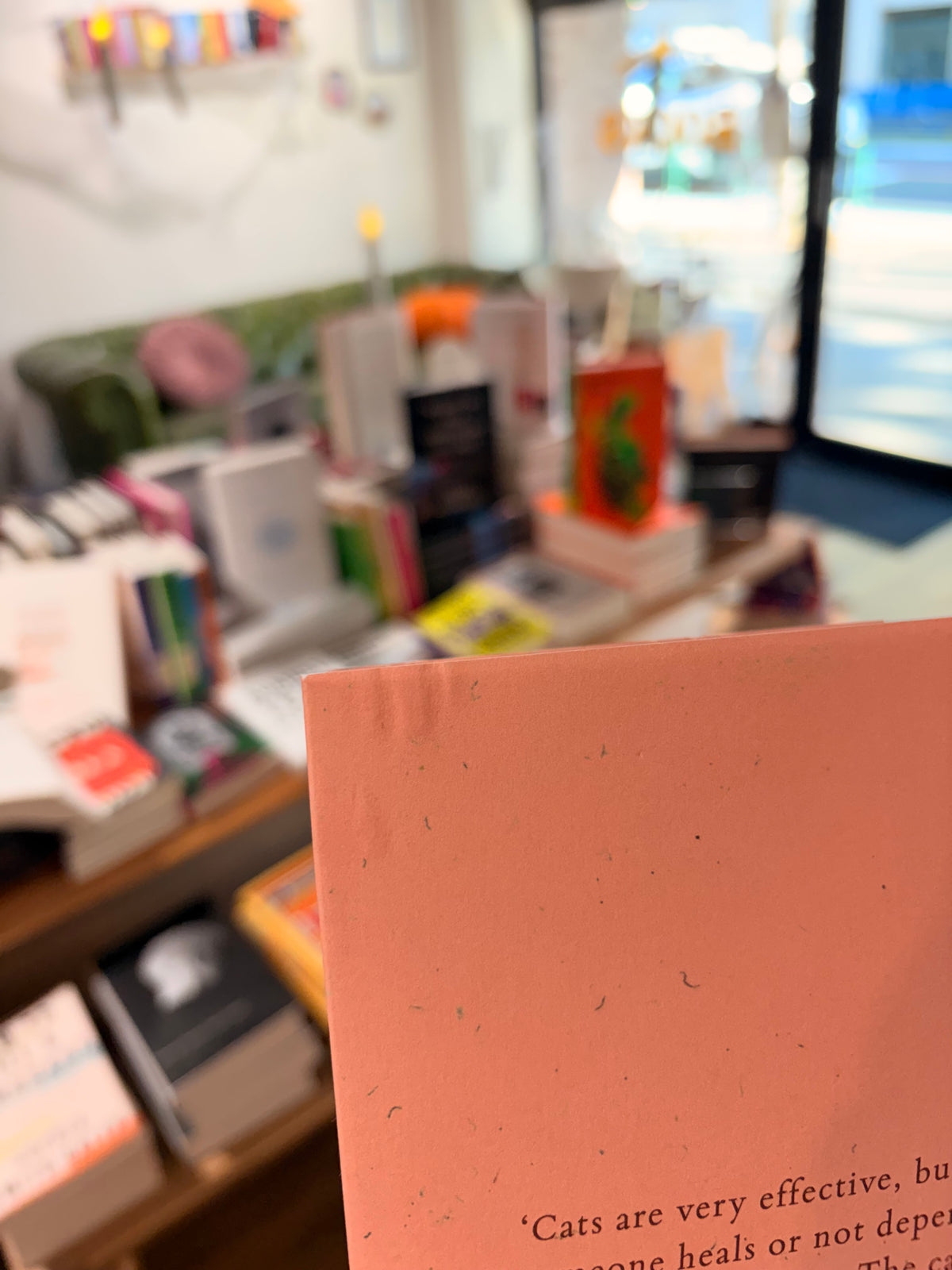 Welcome to the Kokoro Cat Clinic (The Travelling Cat Chronicles, Volume 3) *BRUISED BOOK*