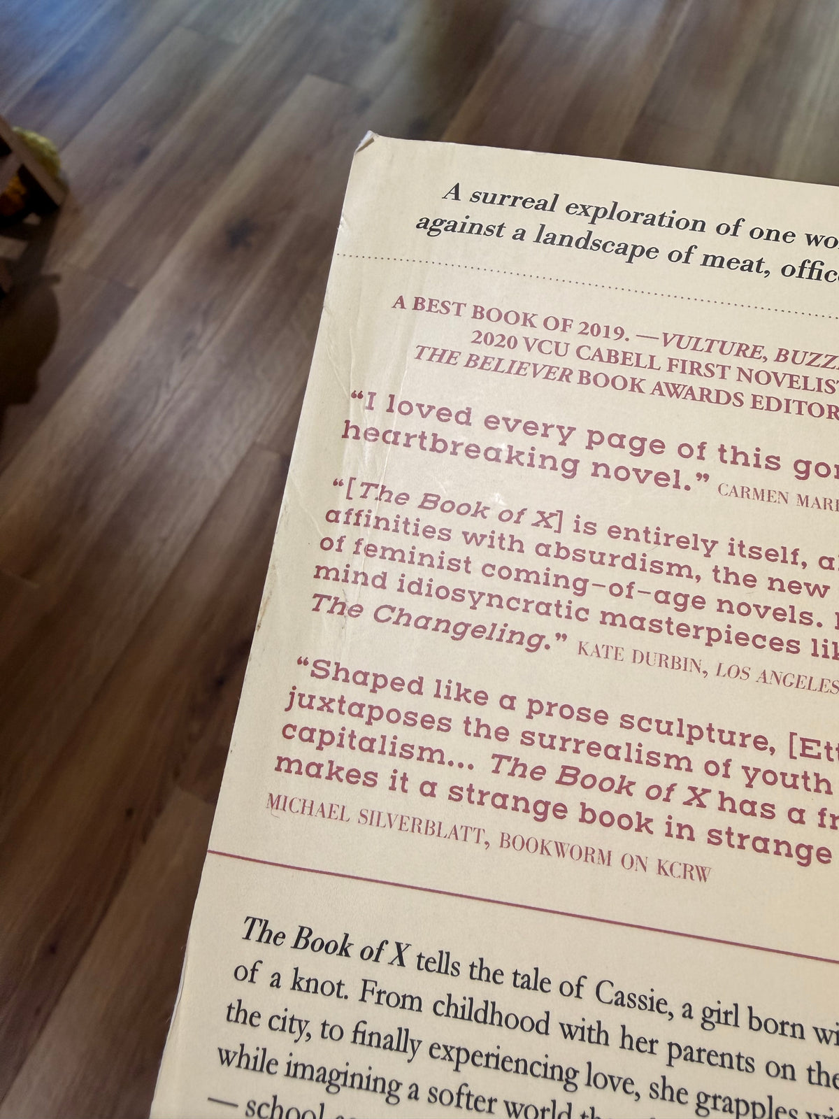 The Book of X *BRUISED BOOK*