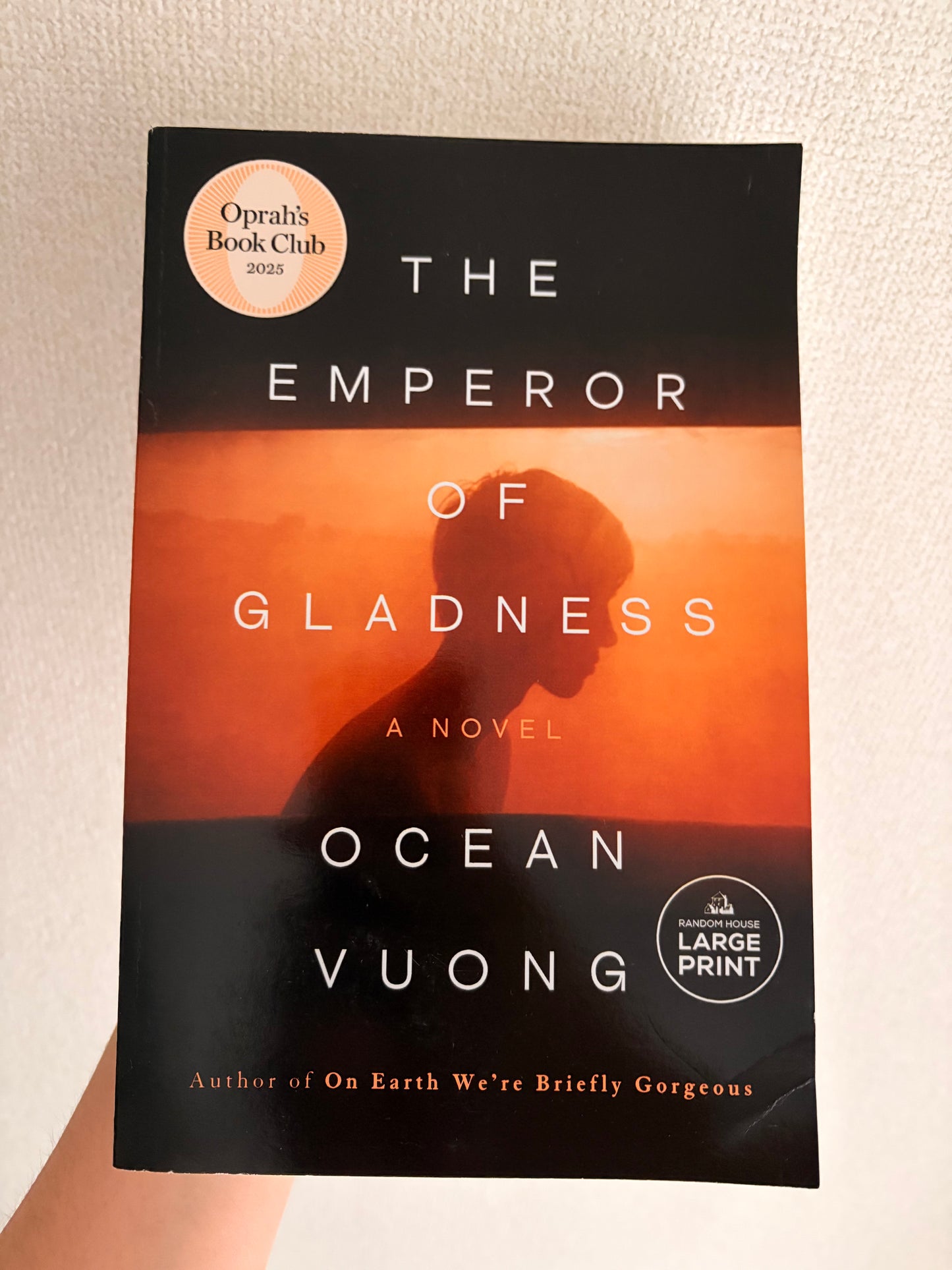 The Emperor of Gladness *BRUISED BOOK*