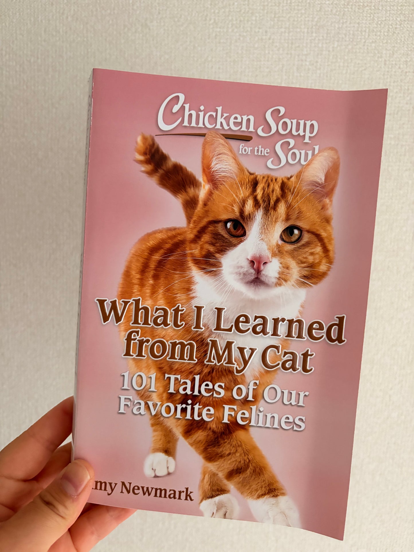 Chicken Soup for the Soul: What I Learned from My Cat: 101 Tales of Our Favorite Felines *BRUISED BOOK*