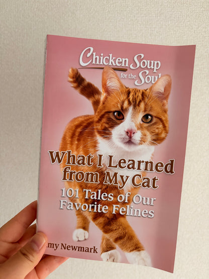 Chicken Soup for the Soul: What I Learned from My Cat: 101 Tales of Our Favorite Felines *BRUISED BOOK*