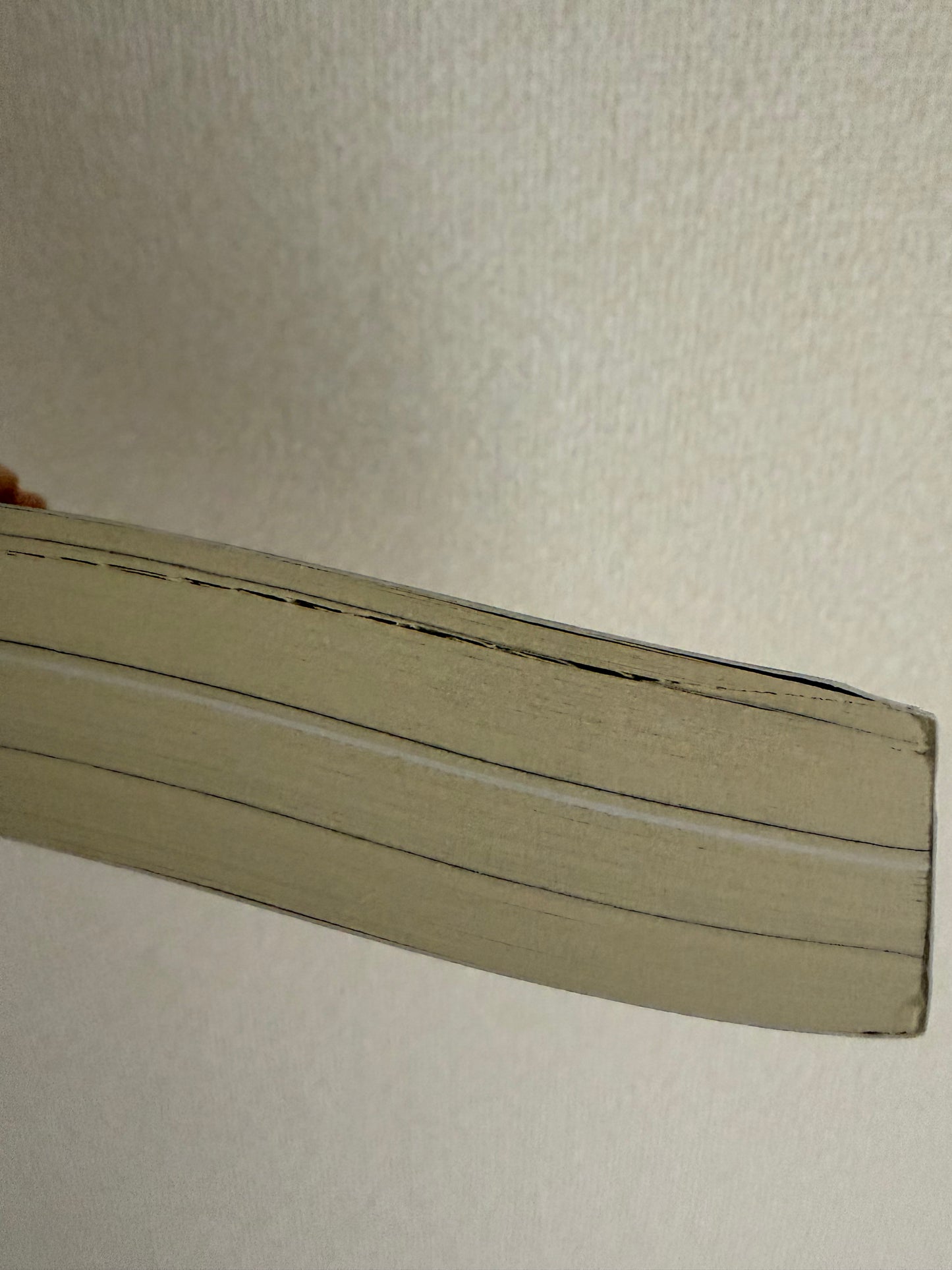 An Astronaut's Guide to Life on Earth *BRUISED BOOK*