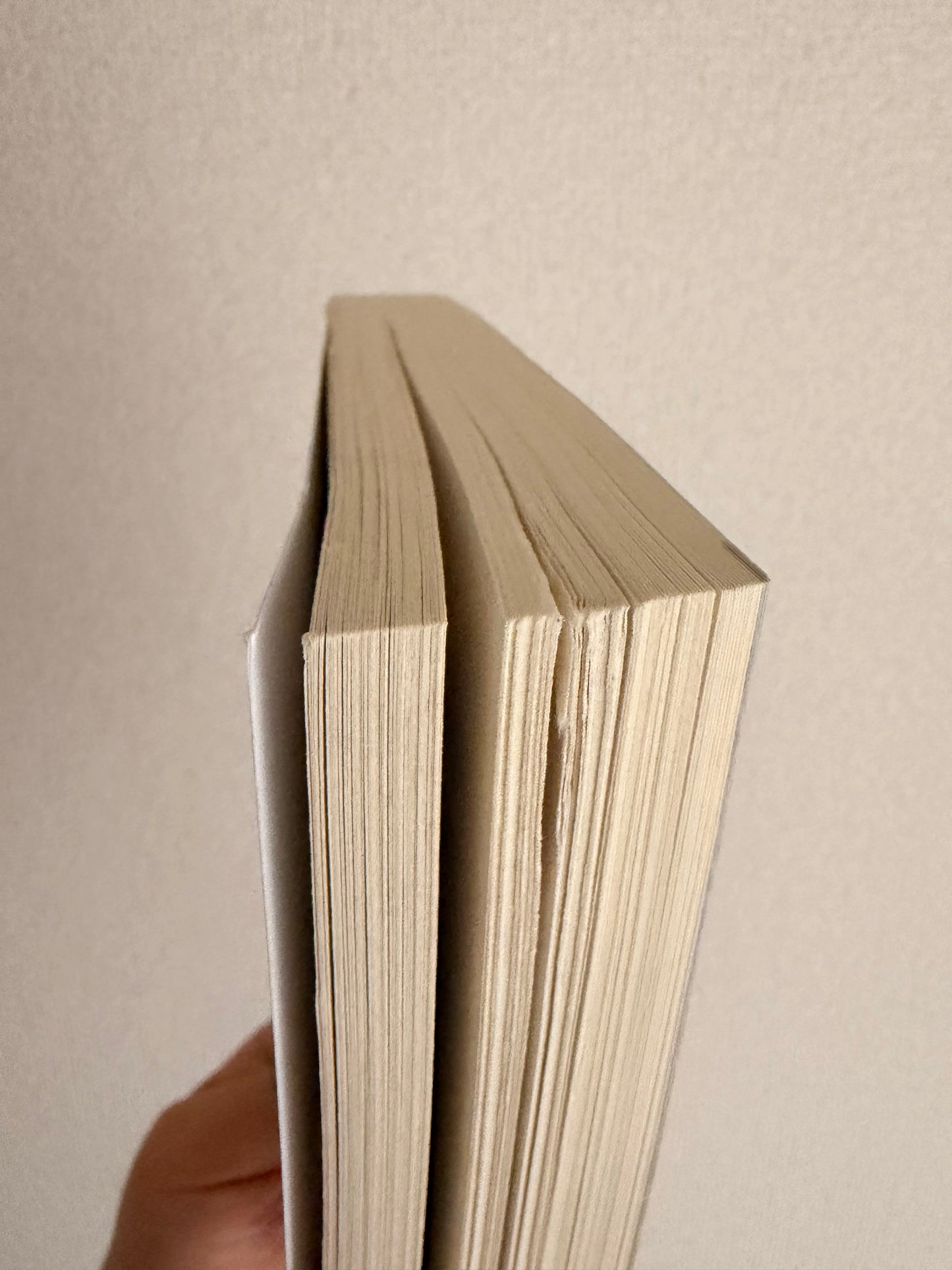 Yin Yang Love Song *BRUISED BOOK*