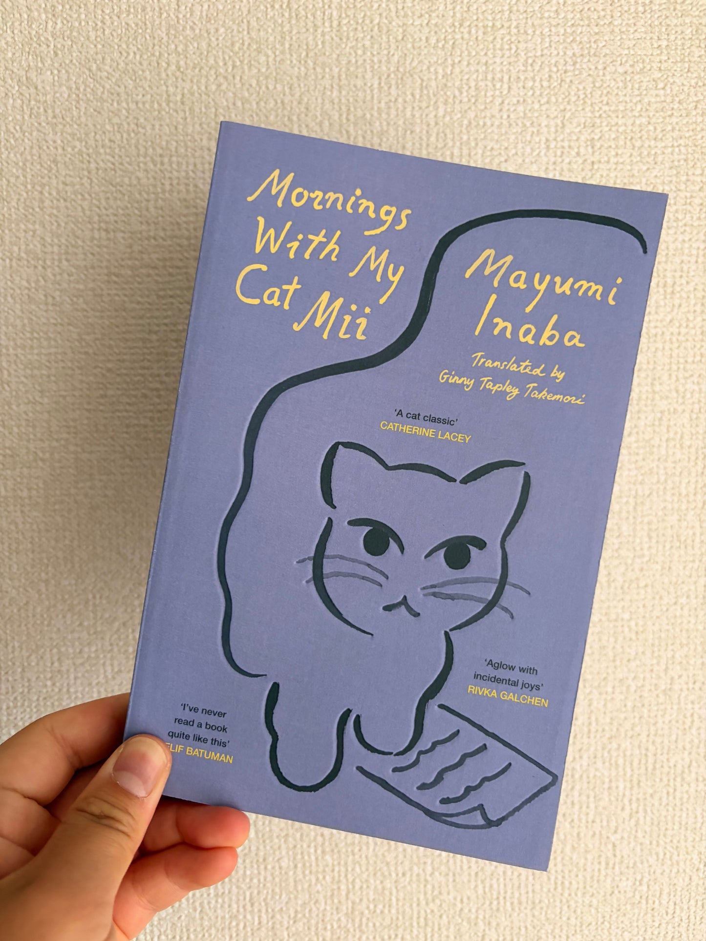 Mornings With My Cat Mii *BRUISED BOOK*