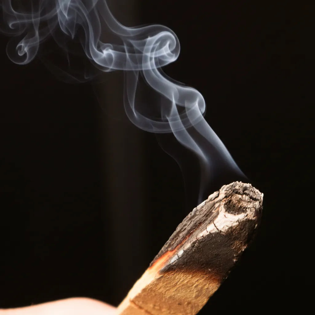 Palo Santo Sticks w/ Tin - Aranya From the Forest